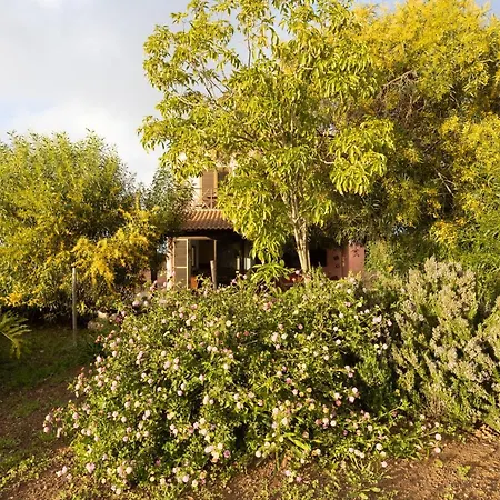 Home2book Amazing Teide View & Terrace Σπίτι διακοπών Sauzal