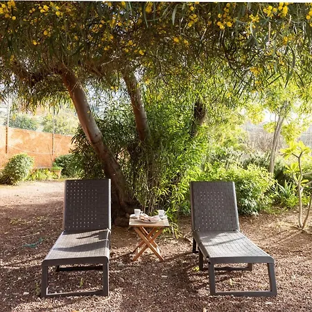 Home2book Amazing Teide View & Terrace Σπίτι διακοπών Sauzal