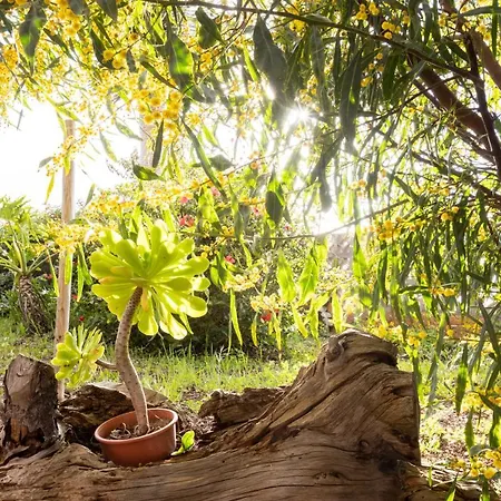 Σπίτι διακοπών Home2book Amazing Teide View & Terrace Sauzal